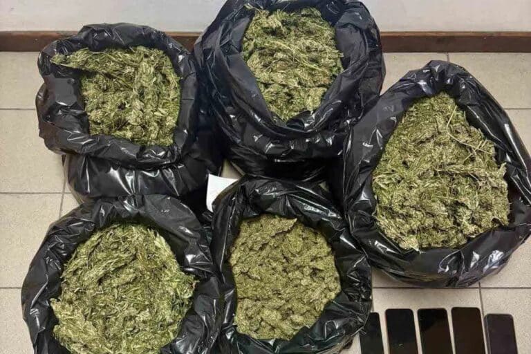 Καλαμάτα: Αστυνομικοί κατέσχεσαν πάνω από 10 κιλά κάνναβης – Χειροπέδες σε τρία άτομα
