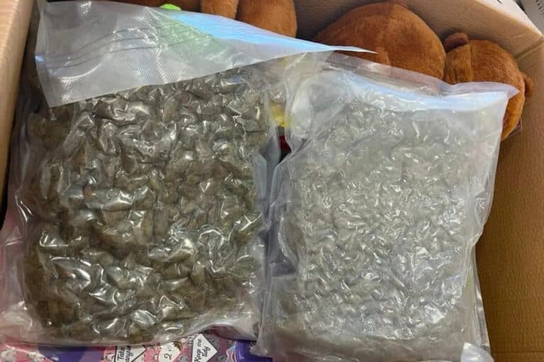 Χανιά: Εγκληματική οργάνωση διακινούσε ναρκωτικά μέσα σε κουτιά με παιχνίδια – Κατασχέθηκαν κάνναβη και κοκαΐνη (βίντεο)