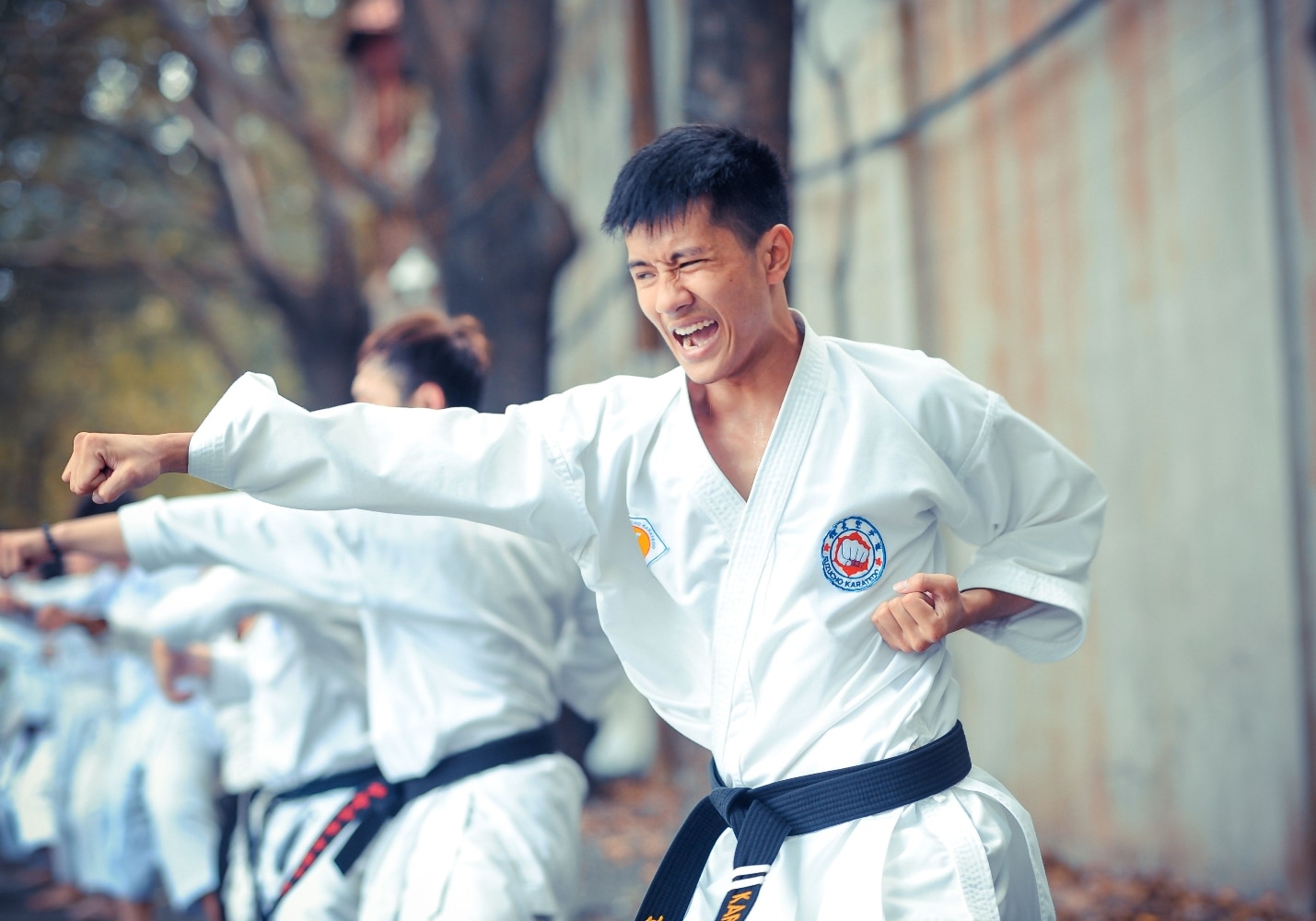 karate 1