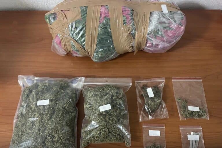 Κατερίνη: Συνελήφθη άνδρας για ναρκωτικά – Κατασχέθηκαν 10 δενδρύλλια κάνναβης (εικόνα)