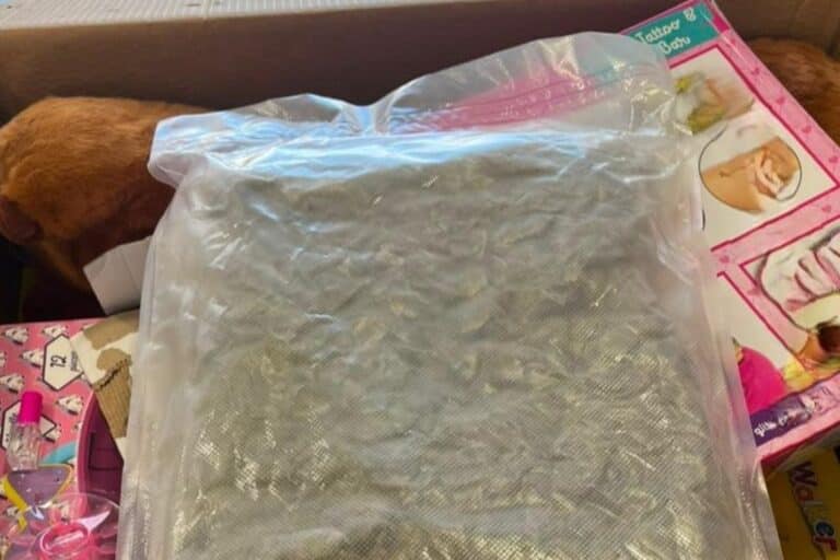 Χανιά: Απολογείται ο 21χρονος για τη διακίνηση ναρκωτικών σε κουτιά παιχνιδιών – Την Παρασκευή (14/8) ο 26χρονος Φινλανδός