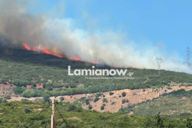Φθιώτιδα: Μεγάλη κινητοποίηση της Πυροσβεστικής για φωτιά στην Καμηλόβρυση – Επιχειρούν επίγειες και εναέριες δυνάμεις (βίντεο)
