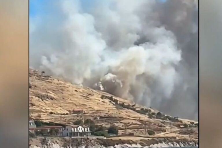 Λήμνος: Συνελήφθη ο αντιδήμαρχος Περιβάλλοντος για τη φωτιά
