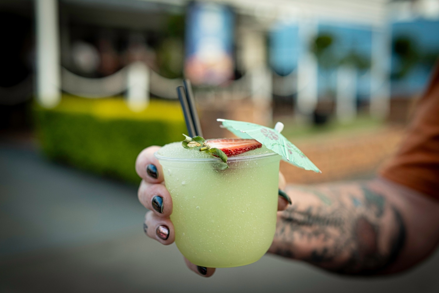margarita