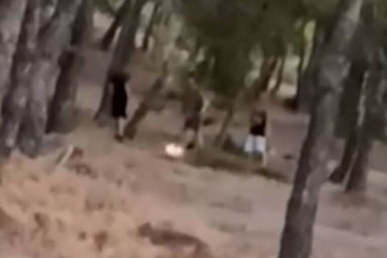 Πεντέλη: Ταυτοποιήθηκαν τρεις 13χρονοι που έπαιζαν με τη φωτιά για challenge στα social media – Δικογραφία και για τους γονείς