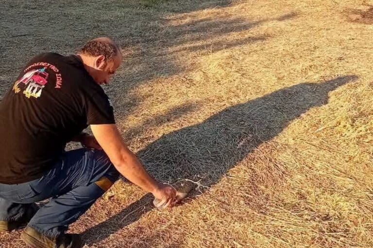 Συγκινητικές εικόνες: Πυροσβέστης έδωσε νερό σε μικρό σκαντζόχοιρο μετά τη φωτιά στη Λήμνο
