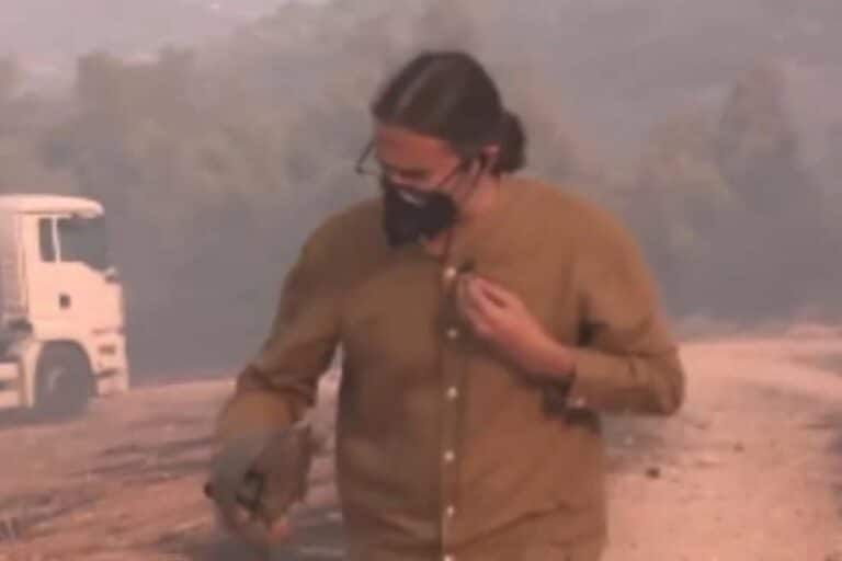 Φωτιά στον Κουβαρά Αττικής: Η στιγμή που ρεπόρτερ σώζει χελώνα (βίντεο)
