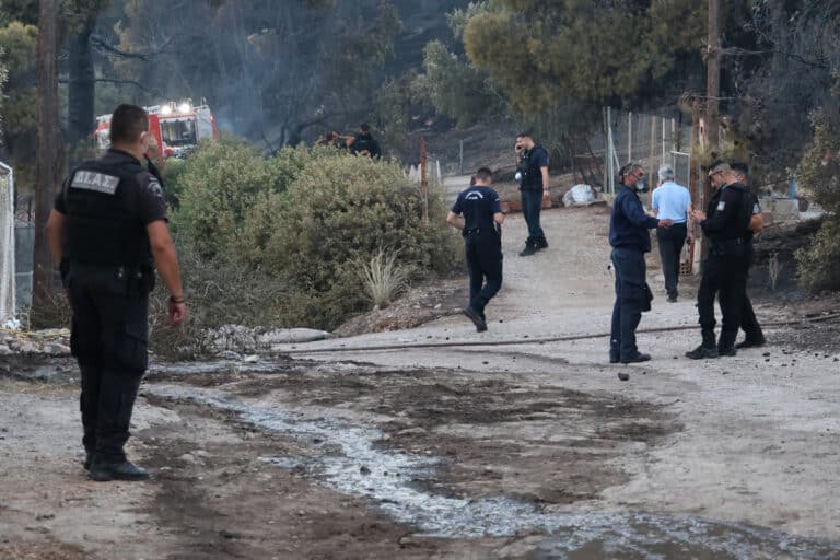 Πώς το ηλικιωμένο ζευγάρι έχασε τη ζωή του από τη φωτιά στη Σαλαμίνα – Εξετάζεται το σενάριο του εμπρησμού (βίντεο)
