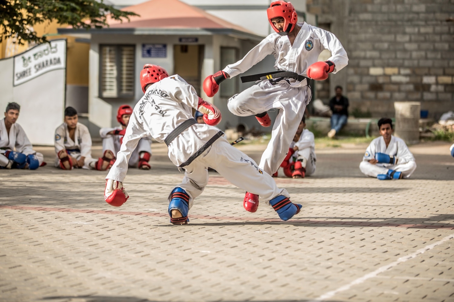 taekwondo 2