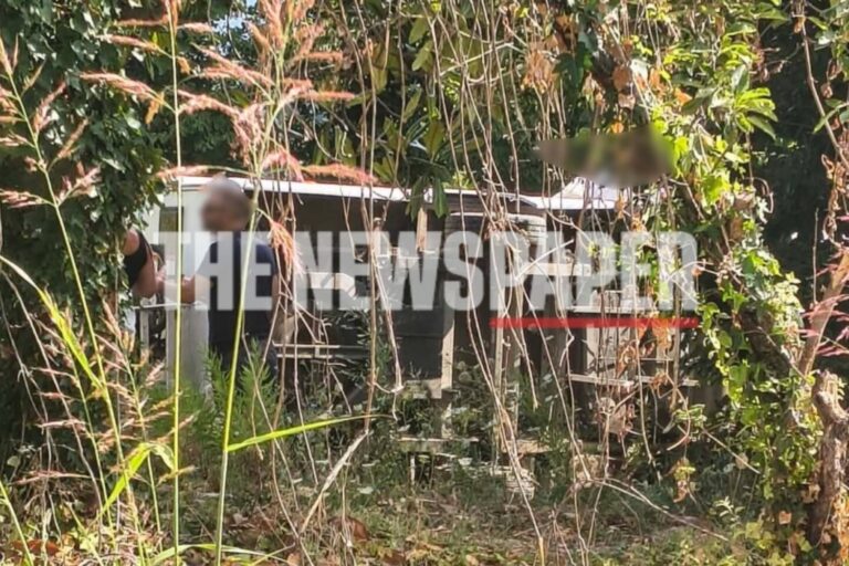 Τροχαίο στο Πήλιο: Ανατράπηκε mini bus με οικογένειες και κατέληξε σε χωράφια
