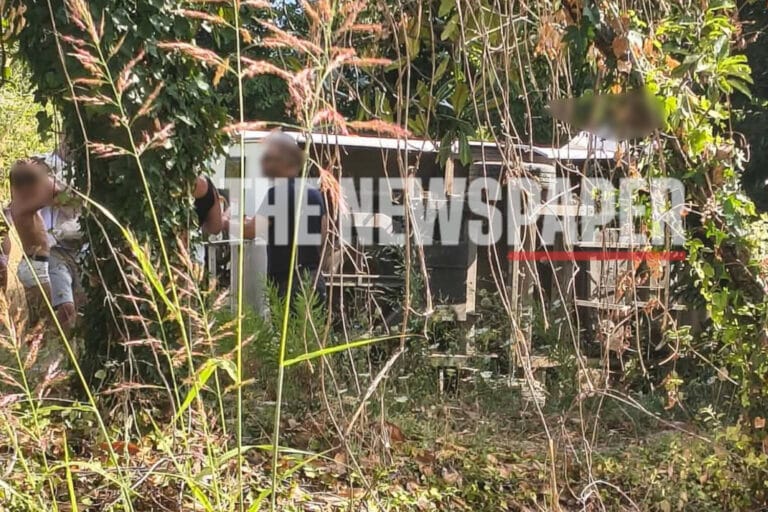 Πήλιο: Ανατράπηκε μίνι μπας που μετέφερε δύο οικογένειες – «Δεν έπιασαν τα φρένα γιατί είχαν ανάψει» (εικόνες)
