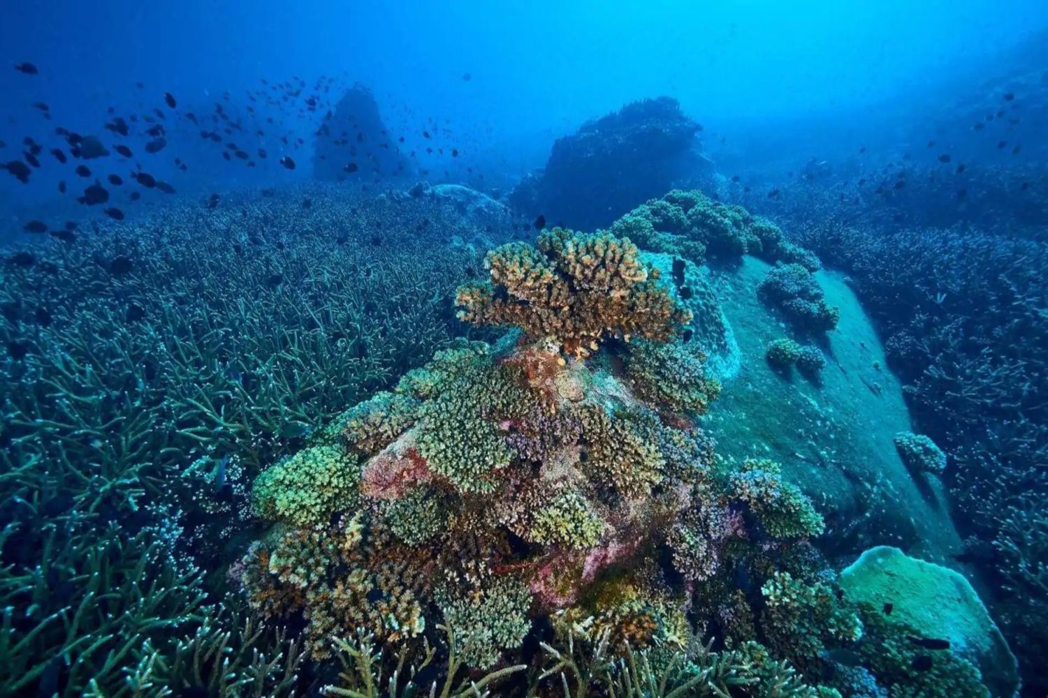 underwater project