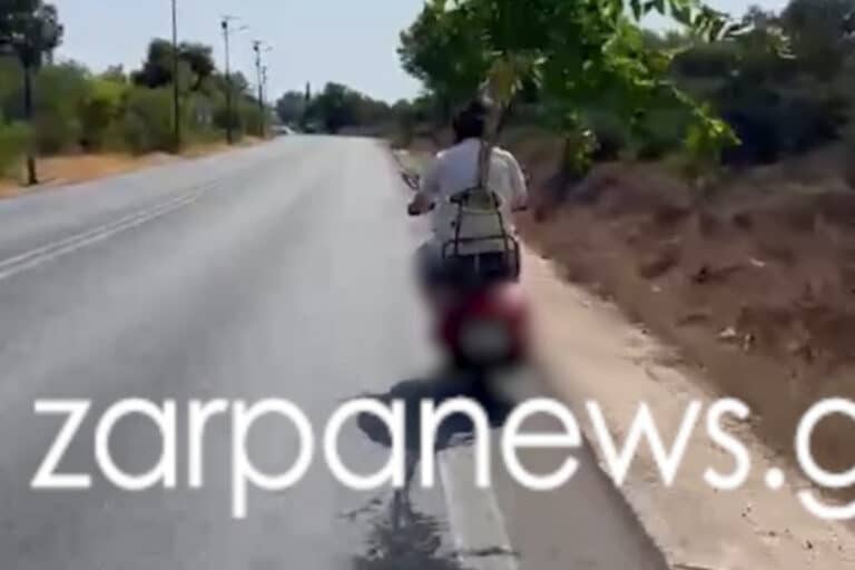 Χανιά: Οδηγός βέσπας μετέφερε… δέντρο στο μηχανάκι του – Δείτε βίντεο