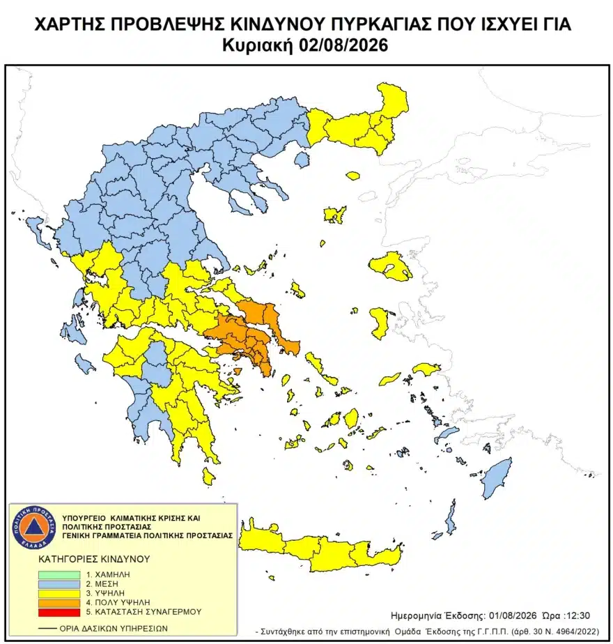 xarti 1 8