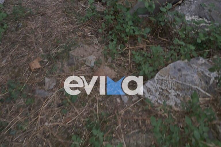 Εύβοια: Χειροβομβίδα του Β’ Παγκοσμίου Πολέμου βρέθηκε σε παλιά αποθήκη