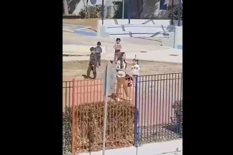 Άνω Λιόσια: Σε σοβαρή κατάσταση νοσηλεύεται η διευθύντρια του νηπιαγωγείου μετά την επίθεση από Ρομά – «Εκβιάζουν τη σχολική κοινότητα»  