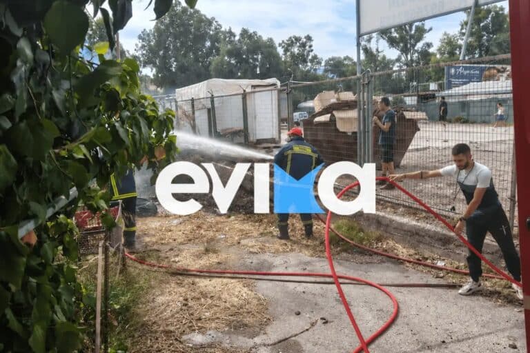 Χαλκίδα: Φωτιά κοντά σε κατοικημένη περιοχή – Φωτογραφίες από το σημείο
