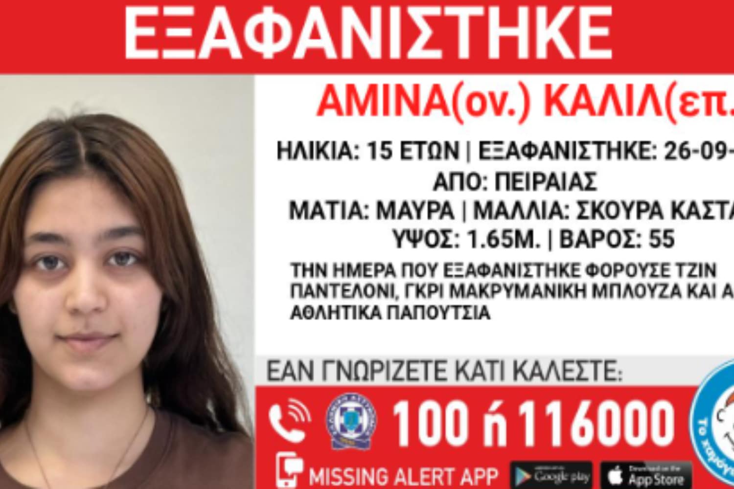 exafanisi 28 9