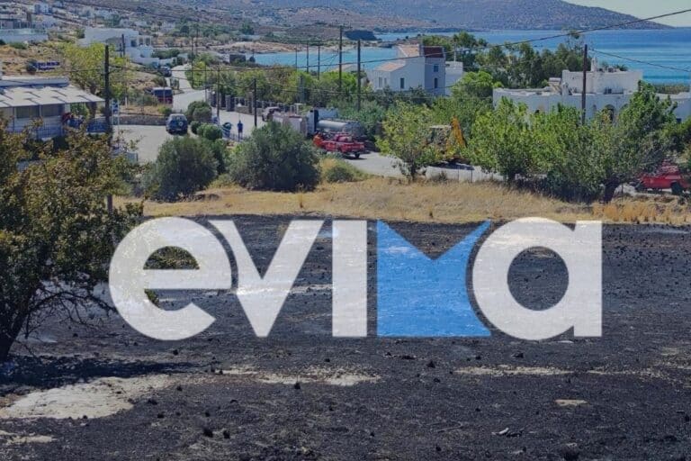 Εύβοια: Συνελήφθη άνδρας για φωτιά στον Αετό Καρύστου