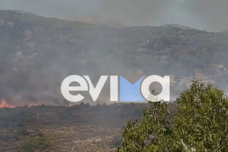 Φωτιά σε δασική έκταση στην Εύβοια – Ήχησε 112 για ετοιμότητα