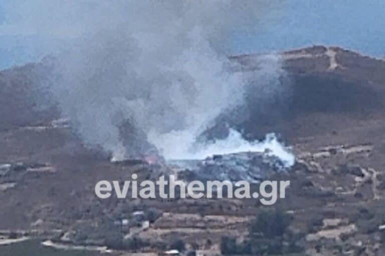 Κάρυστος: Ενισχύθηκαν οι δυνάμεις στη μάχη με τη φωτιά – Μήνυμα του 112 για απομάκρυνση