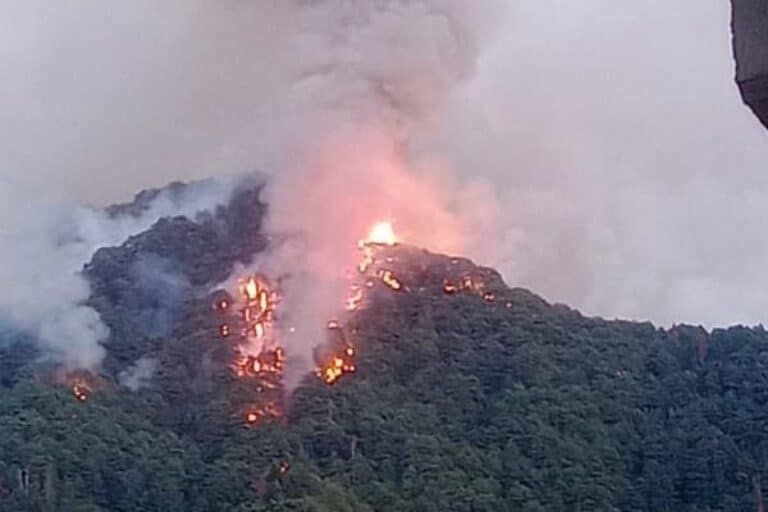 Κόνιτσα: Κάηκαν πάνω από 1.100 στρέμματα από τη μεγάλη φωτιά (εικόνα)