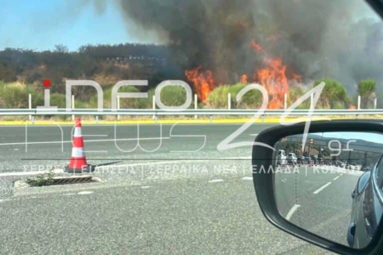 Φωτιά στο Στρυμωνικό Σερρών – Σηκώθηκαν δύο εναέρια