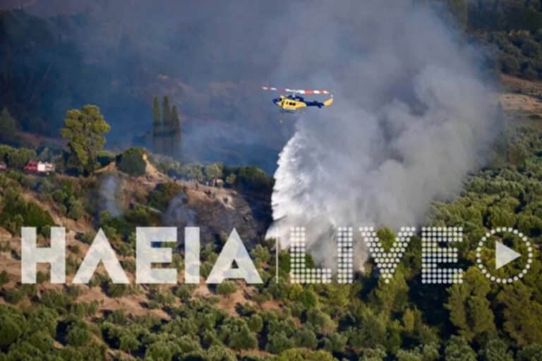 Ηλεία: Χωρίς ενεργό μέτωπο η φωτιά στη Σκιλλουντία – Είχε σταλεί μήνυμα από το 112