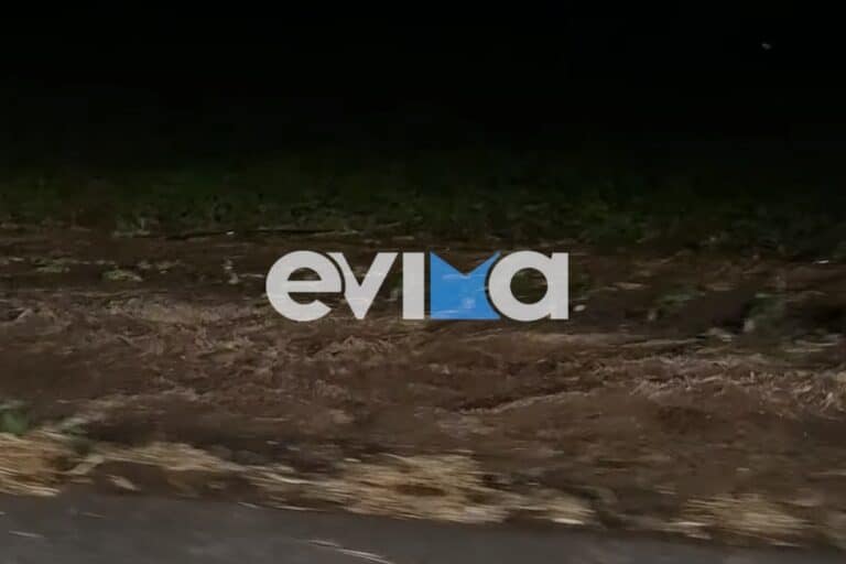 Εφιαλτική νύχτα από την κακοκαιρία στην Εύβοια: Πλημμύρισαν δρόμοι και σπίτια – Έγιναν κατολισθήσεις (βίντεο)