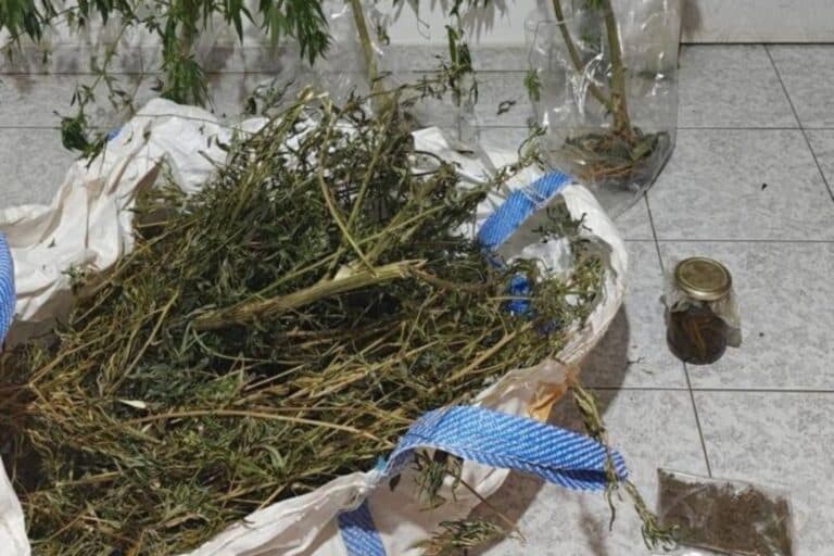 Κρήτη: Συνελήφθη 68χρονος – Έκρυβε κάνναβη σε βάζο με ελαιόλαδο