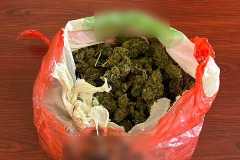 Συνελήφθη 17χρονος για διακίνηση ναρκωτικών στη Μεταμόρφωση – Κατασχέθηκε πάνω από μισό κιλό κάνναβης