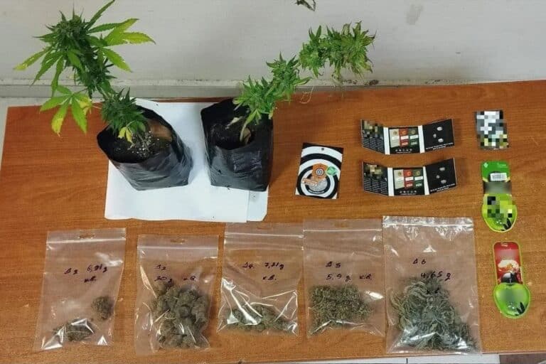 Θεσπρωτία: Συνελήφθη άνδρας για διακίνηση και καλλιέργεια ναρκωτικών – Τι κατέσχεσαν οι Αρχές