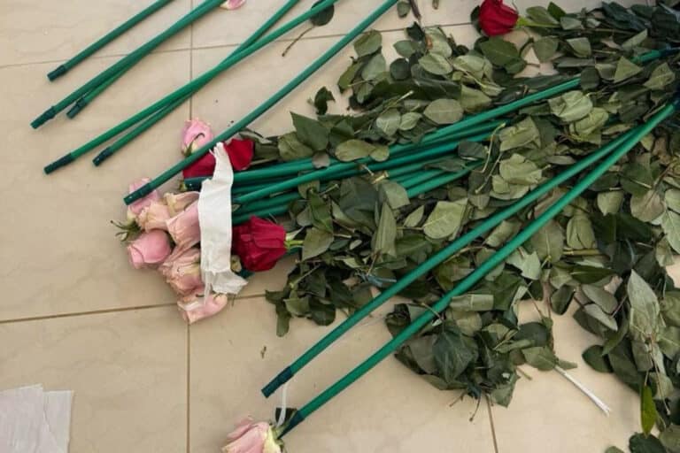 Ναρκωτικά στην Αρτέμιδα: Κύκλωμα έκρυβε 84 κιλά κοκαΐνης μέσα σε… τριαντάφυλλα