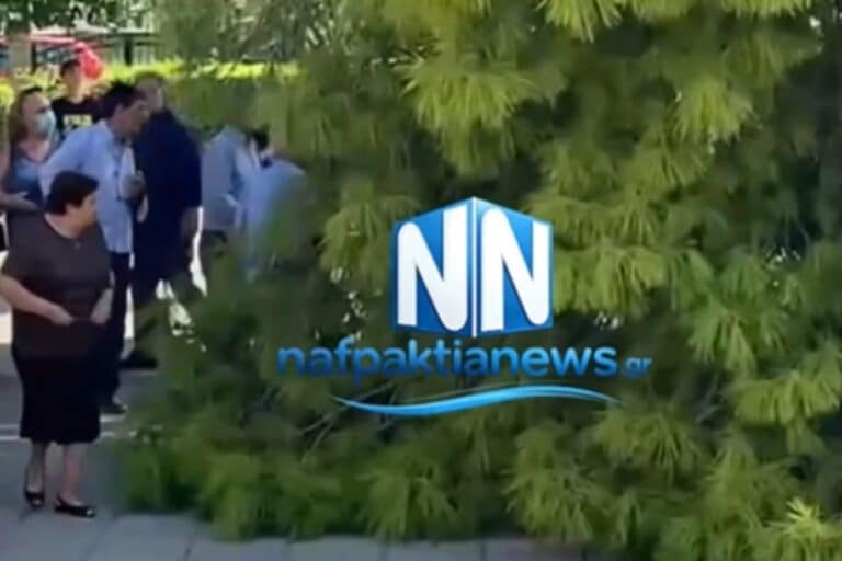 Τρεις τραυματίες μετά από πτώση μεγάλου κλαδιού έξω από εκκλησία στον Λυγιά Ναυπάκτου – Δείτε βίντεο 