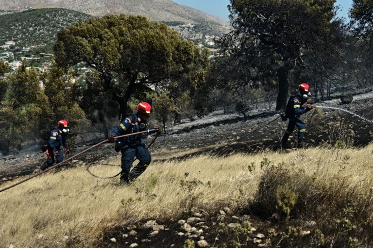 Κορωπί: Φωτιά σε χαμηλή βλάστηση – Επιχειρούν 12 πυροσβέστες και δύο ελικόπτερα