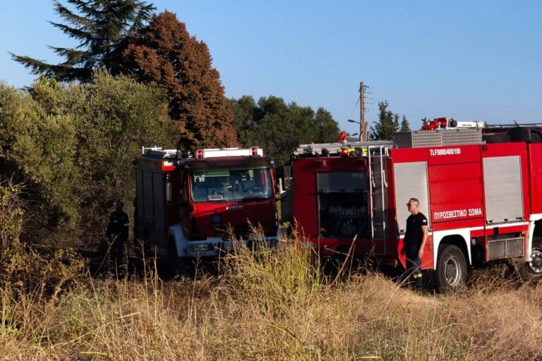 Πυρκαγιά στην Ελασσόνα: Μεγάλη κινητοποίηση της Πυροσβεστικής σε δασική έκταση στην Κρανιά