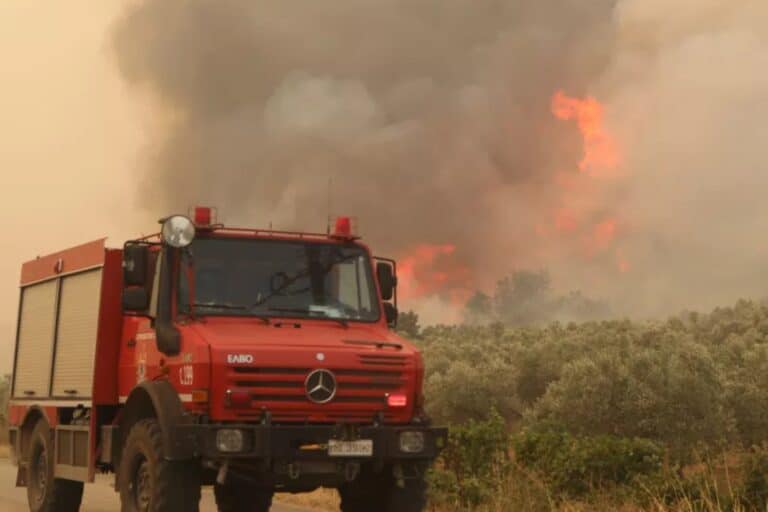 Σητεία: Πυρκαγιά σε χαμηλή βλάστηση στη Δημοτική Ενότητα Χώνου – Μεγάλη κινητοποίηση της Πυροσβεστικής