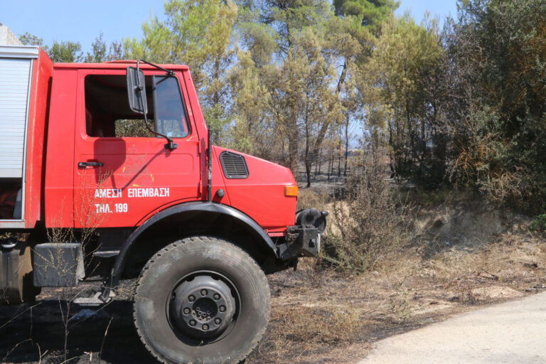 Ρέθυμνο: Γουρούνα έπεσε σε γκρεμό – Σε εξέλιξη επιχείρηση διάσωσης του οδηγού