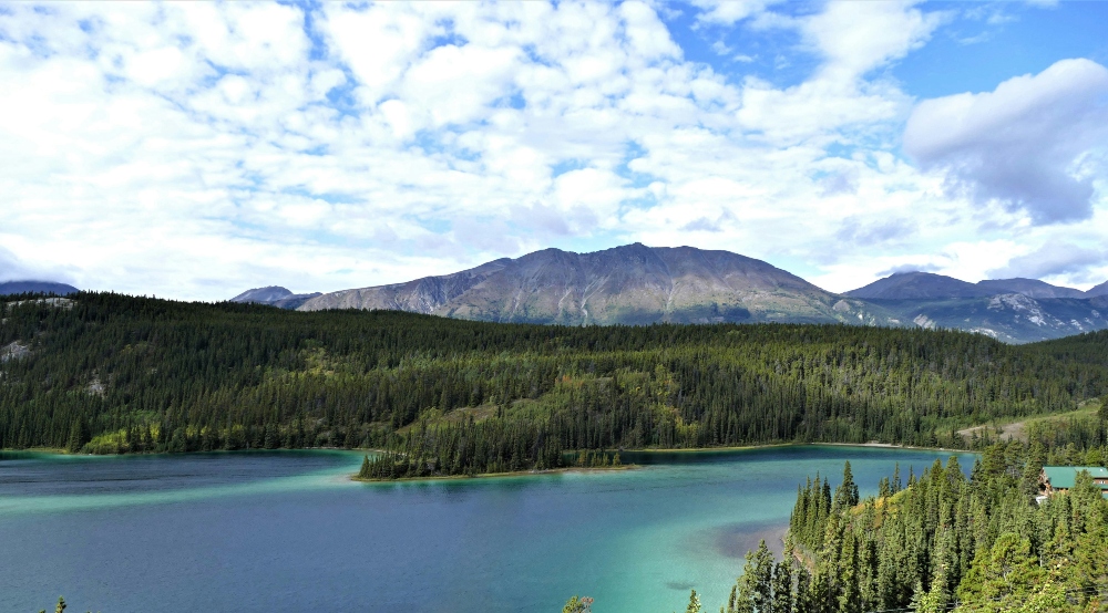 whitehorse
