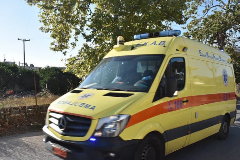 Χαλκιδική: Παιδί πέντε ετών δέχτηκε επίθεση από τσακάλι στο Νέο Μαρμαρά