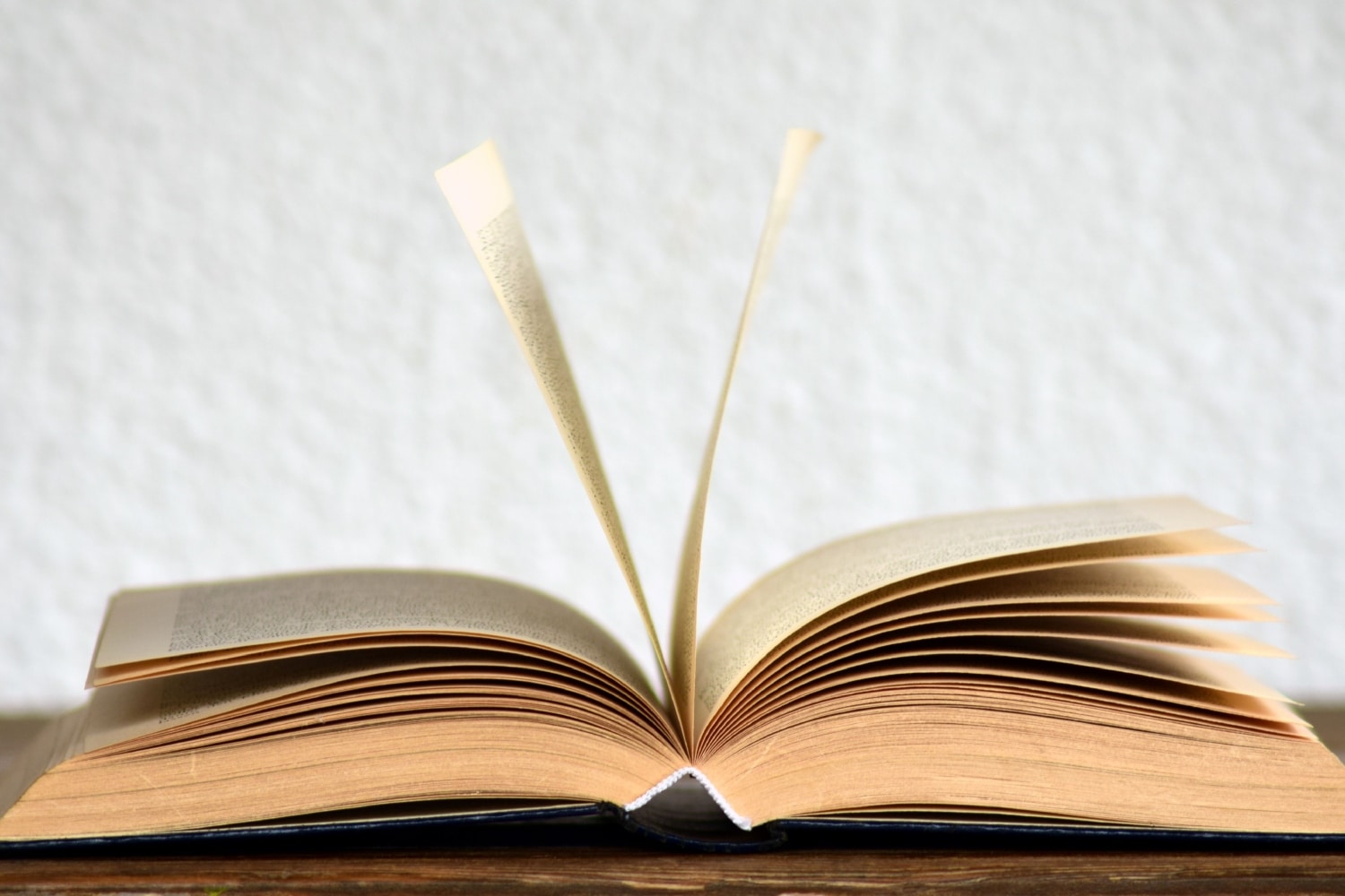 book 1