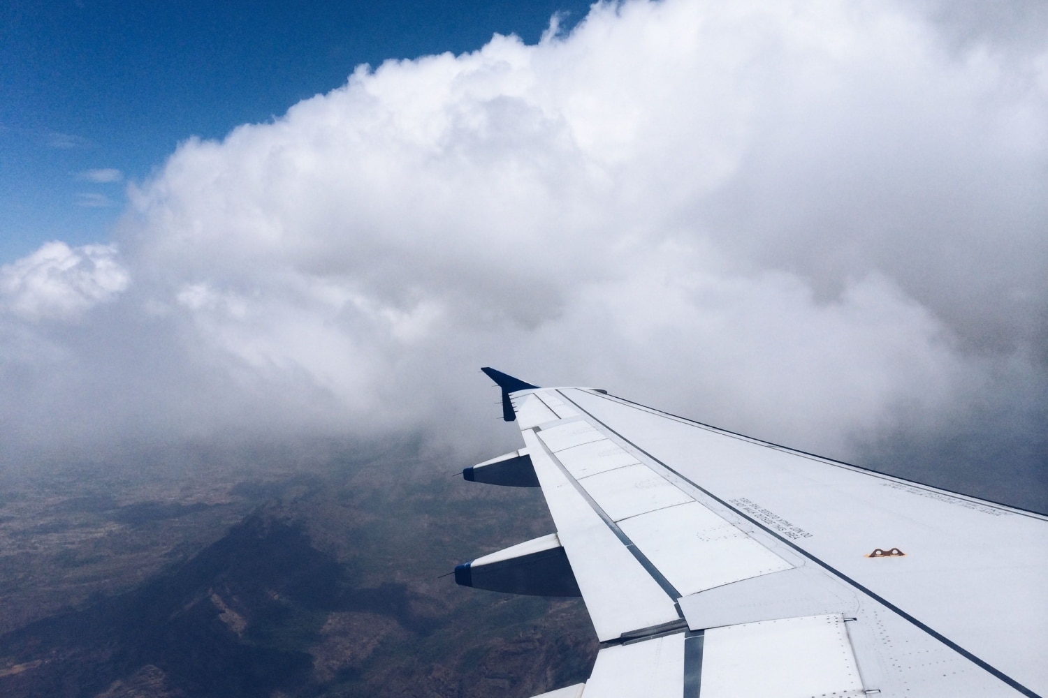flight